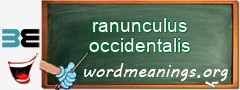 WordMeaning blackboard for ranunculus occidentalis